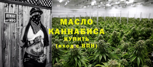 МДПВ Каменногорск