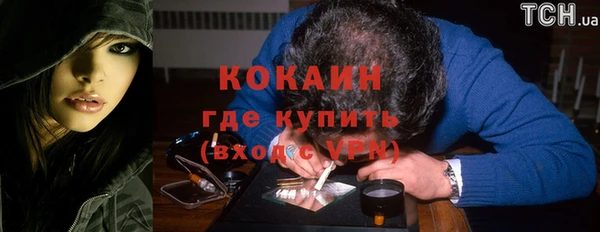 МДПВ Каменногорск