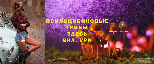 Альфа ПВП Нягань