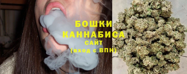 МДПВ Каменногорск