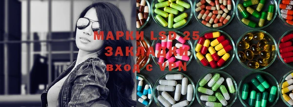 МДПВ Каменногорск