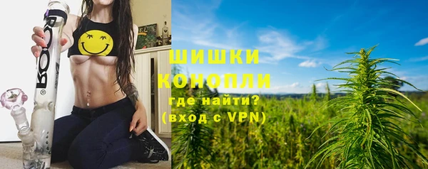 МДПВ Каменногорск