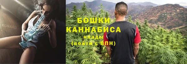 МДПВ Каменногорск