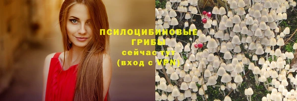 ешки Каменск-Шахтинский