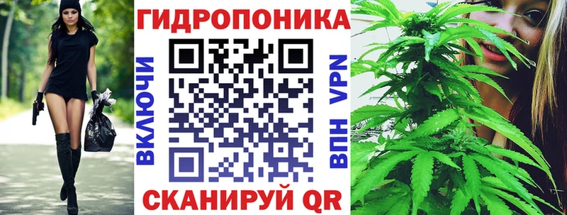 Канабис семена  магазин продажи   MEGA зеркало  Нелидово 